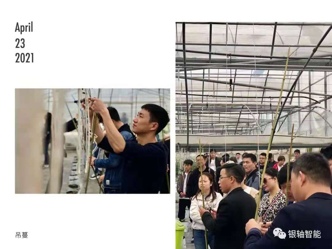 微信图片_20210601110450